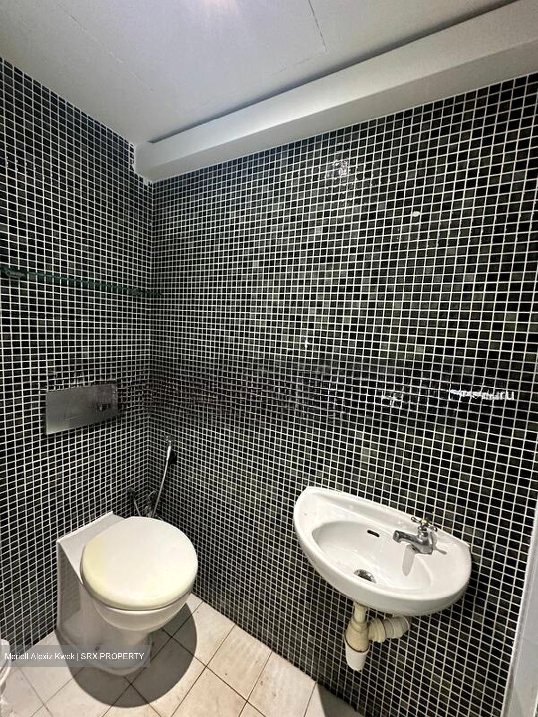 Dunearn Road (D11), Condominium #498850091